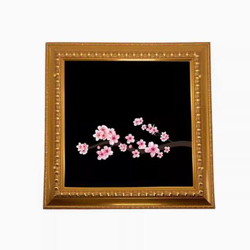 디럭스 비둘기 프레임 마술 트릭 비둘기 그림 실제 비둘 - Photography Trick 리뷰 및 가격