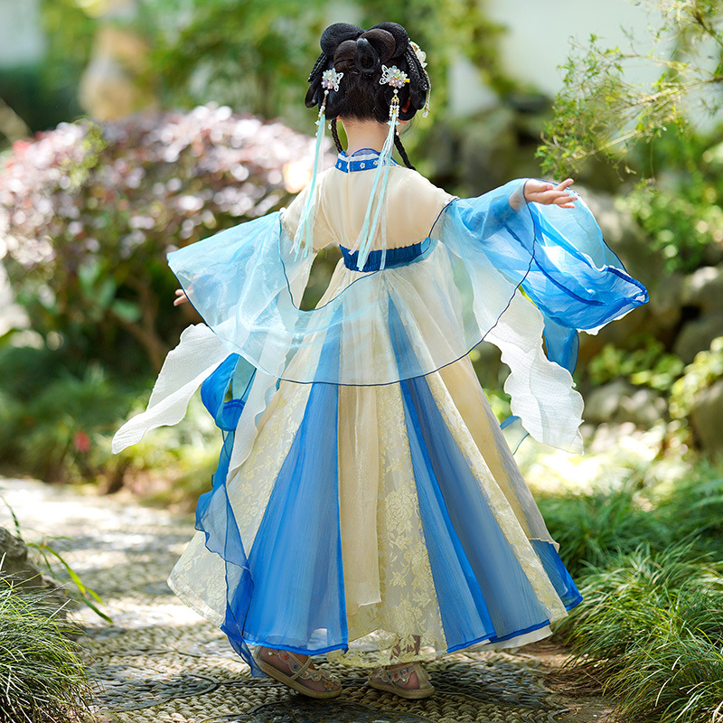 중국 전통 소녀 한푸 드레스, 요정 코스튬 새해 복장, - Photography Year 리뷰 및 가격