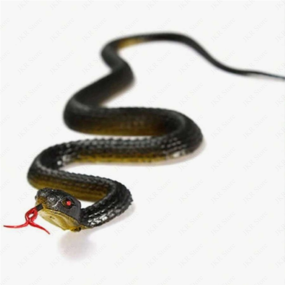 가짜 고무 아나콘다 뱀 45cm 리얼리스틱 피규어 정원 - Photography Trick 리뷰 및 가격